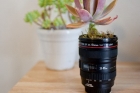 Чашка в виде объектива Canon